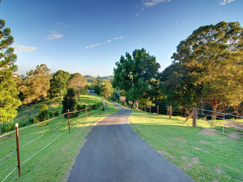 11 Lacebark Court, Cedar Creek QLD 4520
