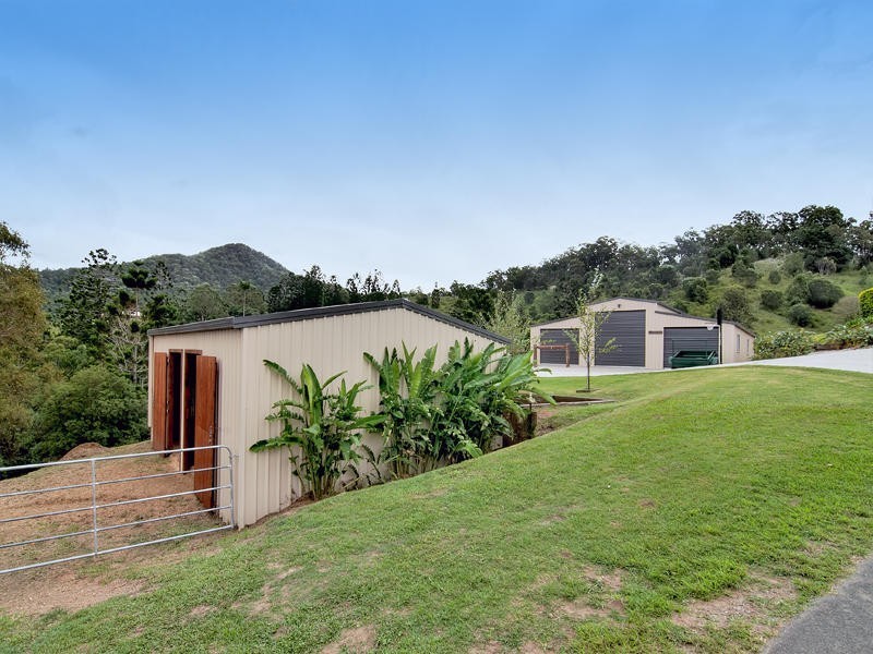 11 Lacebark Court, Cedar Creek QLD 4520