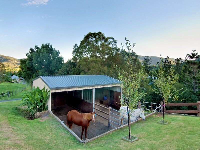 11 Lacebark Court, Cedar Creek QLD 4520