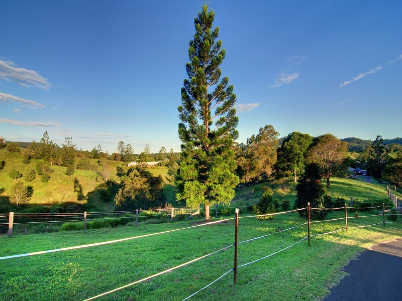 11 Lacebark Court, Cedar Creek QLD 4520