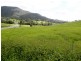 Lot 3 Morrison Road, Cedar Creek QLD 4520