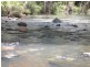 Lot 3 Morrison Road, Cedar Creek QLD 4520