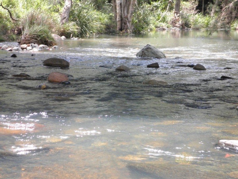 Lot 3 Morrison Road, Cedar Creek QLD 4520