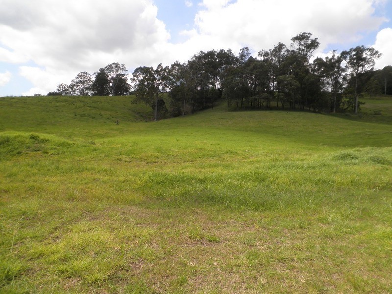 Lot 3 Morrison Road, Cedar Creek QLD 4520