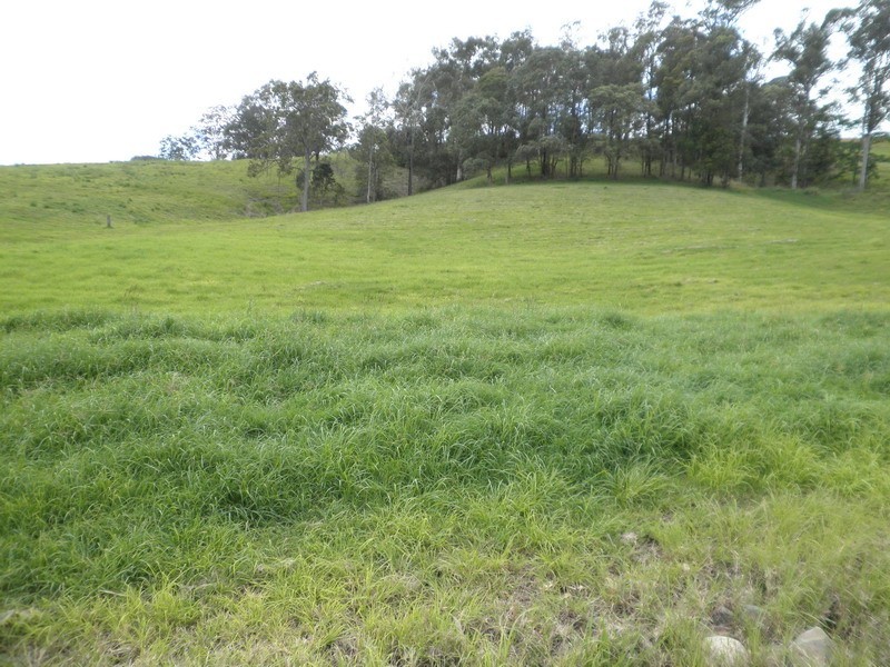 Lot 3 Morrison Road, Cedar Creek QLD 4520