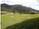 Lot 3 Morrison Road, Cedar Creek QLD 4520