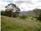 Lot 3 Morrison Road, Cedar Creek QLD 4520