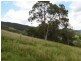 Lot 3 Morrison Road, Cedar Creek QLD 4520