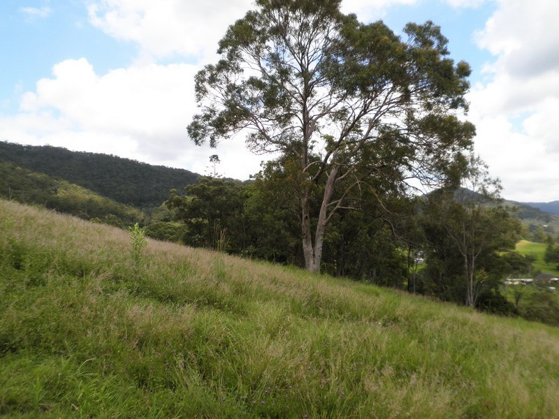 Lot 3 Morrison Road, Cedar Creek QLD 4520