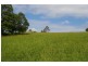 Lot 6 Morrison Road, Cedar Creek QLD 4520