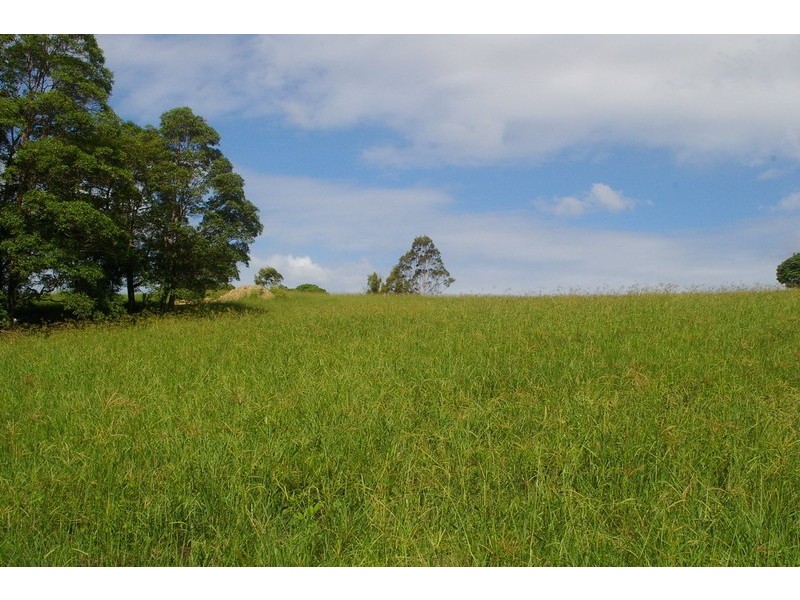 Lot 6 Morrison Road, Cedar Creek QLD 4520