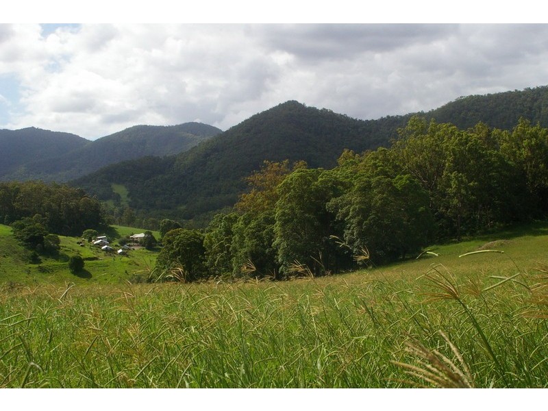 Lot 6 Morrison Road, Cedar Creek QLD 4520