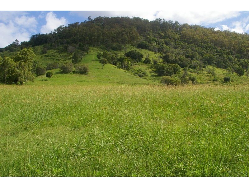 Lot 6 Morrison Road, Cedar Creek QLD 4520