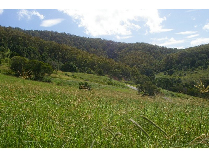 Lot 6 Morrison Road, Cedar Creek QLD 4520