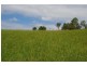 Lot 6 Morrison Road, Cedar Creek QLD 4520