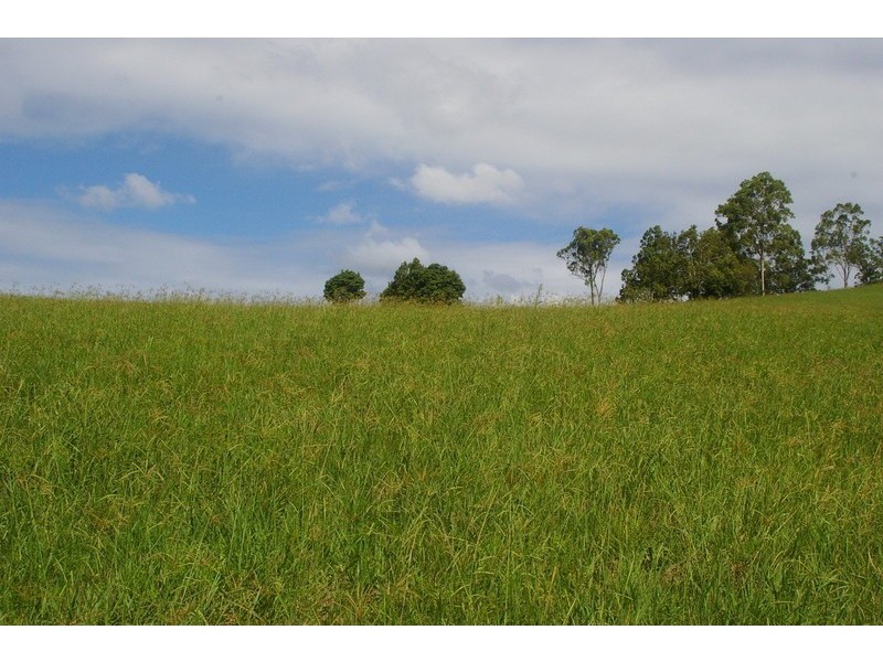 Lot 6 Morrison Road, Cedar Creek QLD 4520