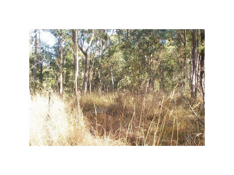 9 Lookout Ct, Camp Mountain QLD 4520