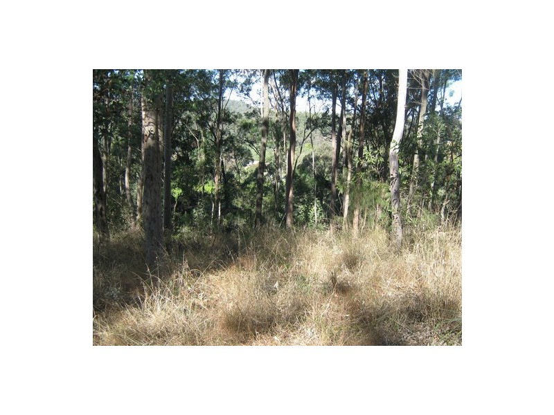 9 Lookout Ct, Camp Mountain QLD 4520