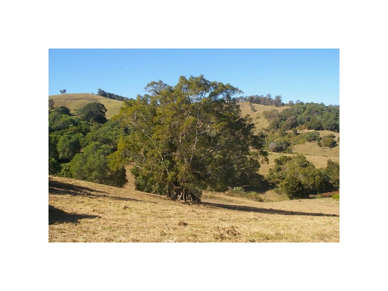 Lot 5 /122 Kundes Road, Mount Samson QLD 4520