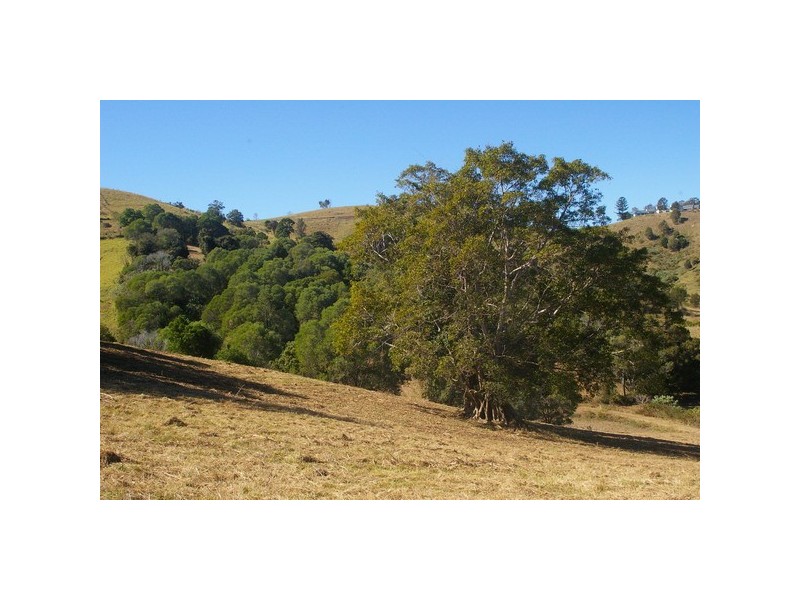 Lot 5 /122 Kundes Road, Mount Samson QLD 4520