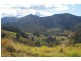 Lot 9 Morrison Road, Cedar Creek QLD 4520