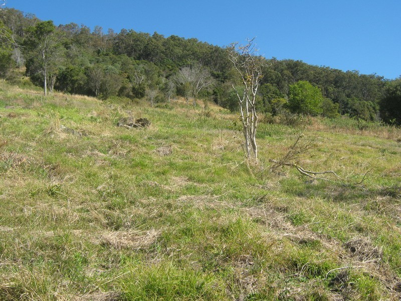 Lot 9 Morrison Road, Cedar Creek QLD 4520