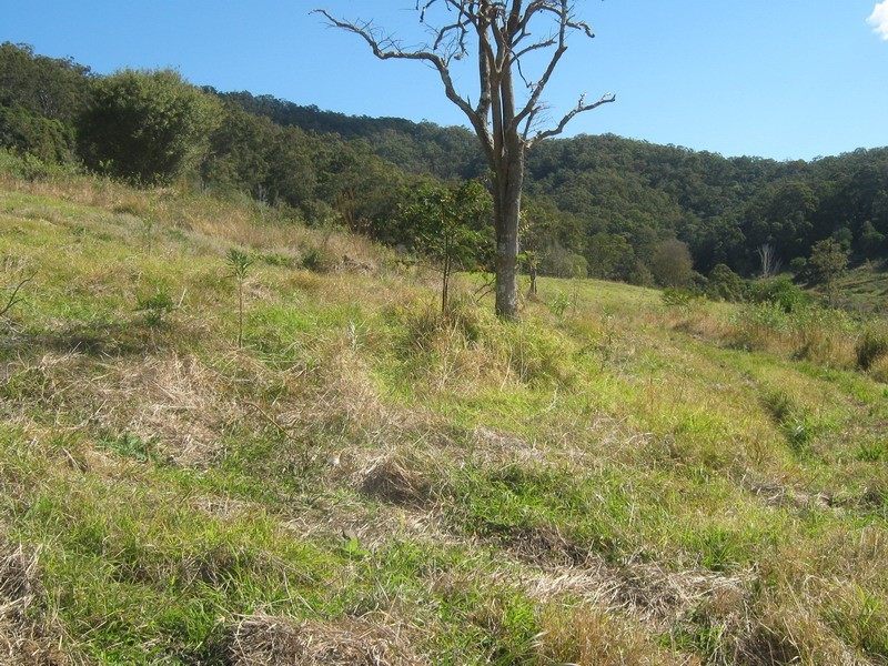 Lot 9 Morrison Road, Cedar Creek QLD 4520