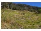 Lot 9 Morrison Road, Cedar Creek QLD 4520