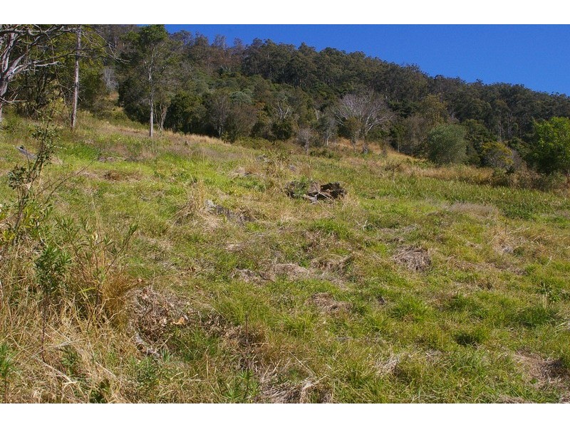 Lot 9 Morrison Road, Cedar Creek QLD 4520