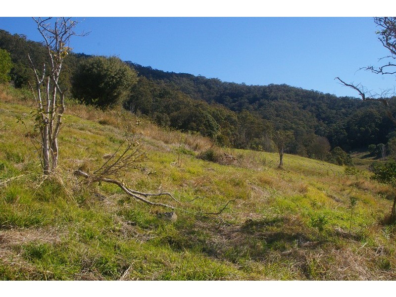 Lot 9 Morrison Road, Cedar Creek QLD 4520