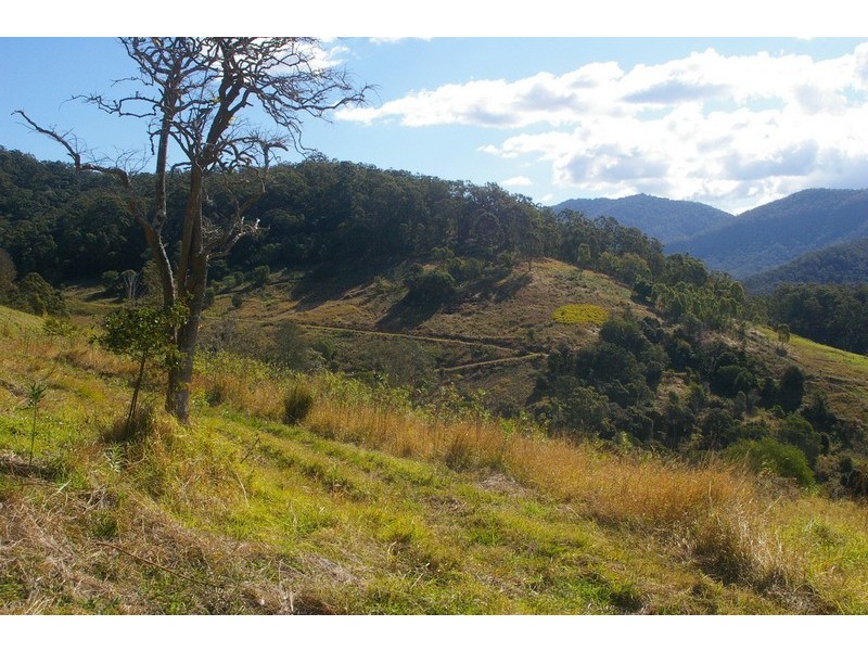 Lot 9 Morrison Road, Cedar Creek QLD 4520