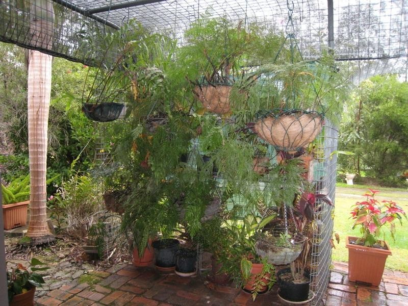 Draper QLD 4520