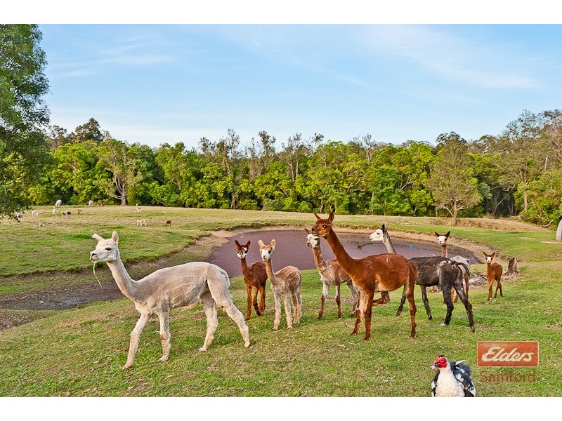 6 Benjamin Close, Samford Valley QLD 4520