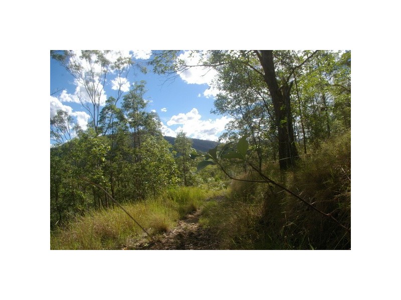 15 Panorama Drive, Cedar Creek QLD 4520