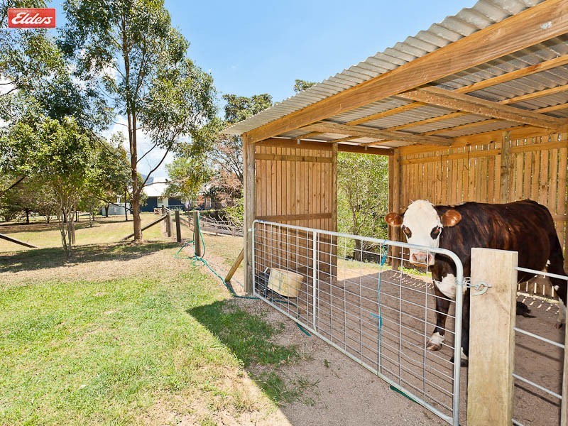 7 Rangeview Drive, Mount Samson QLD 4520