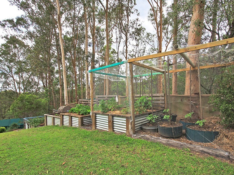 10 Annie Hedge Ct, Closeburn QLD 4520