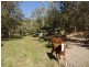 51A Greenmount Ct., Mount Samson QLD 4520