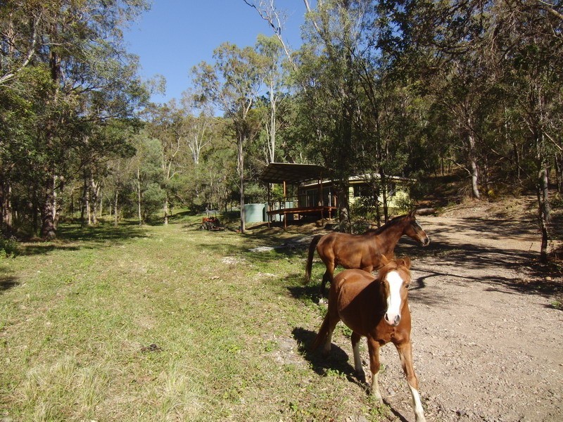 51A Greenmount Ct., Mount Samson QLD 4520