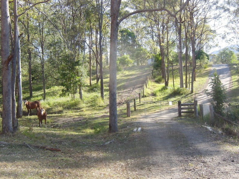 51A Greenmount Ct., Mount Samson QLD 4520