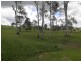 5 Currell Circuit, Samford Valley QLD 4520