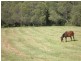 Lot 11 Jagera Ct, Closeburn QLD 4520