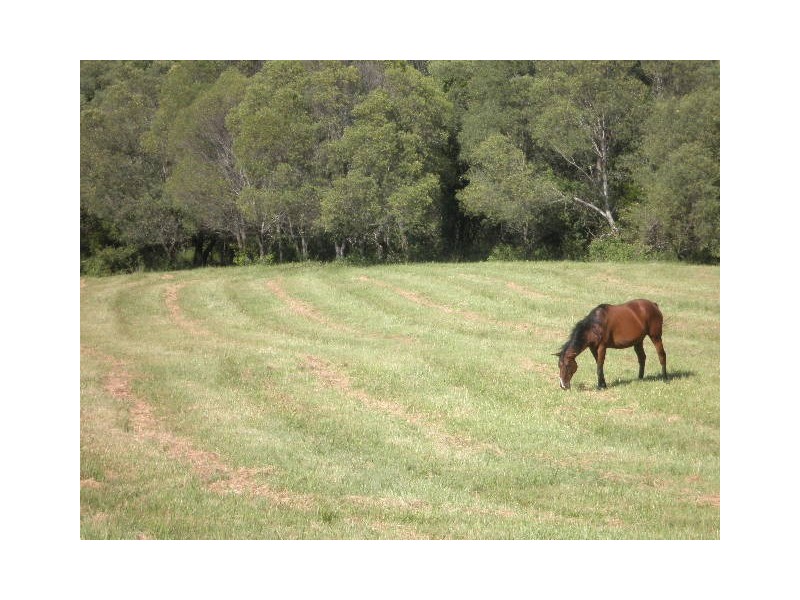 Lot 11 Jagera Ct, Closeburn QLD 4520