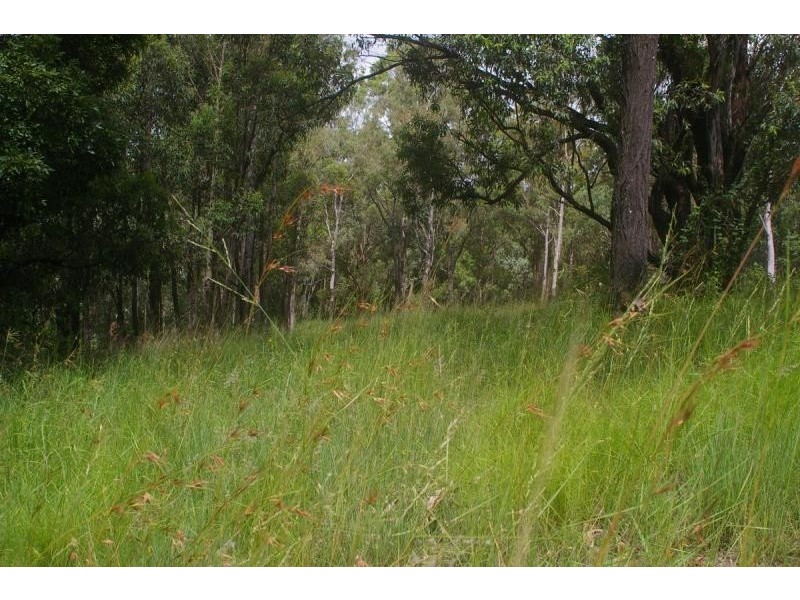 9 Panorama Drive, Cedar Creek QLD 4520