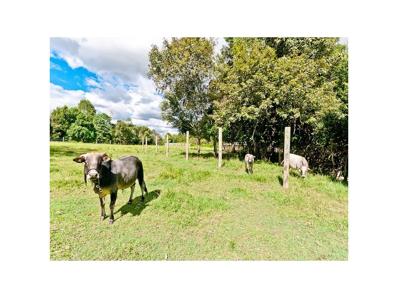 3 Westwood Dr, Samford Valley QLD 4520