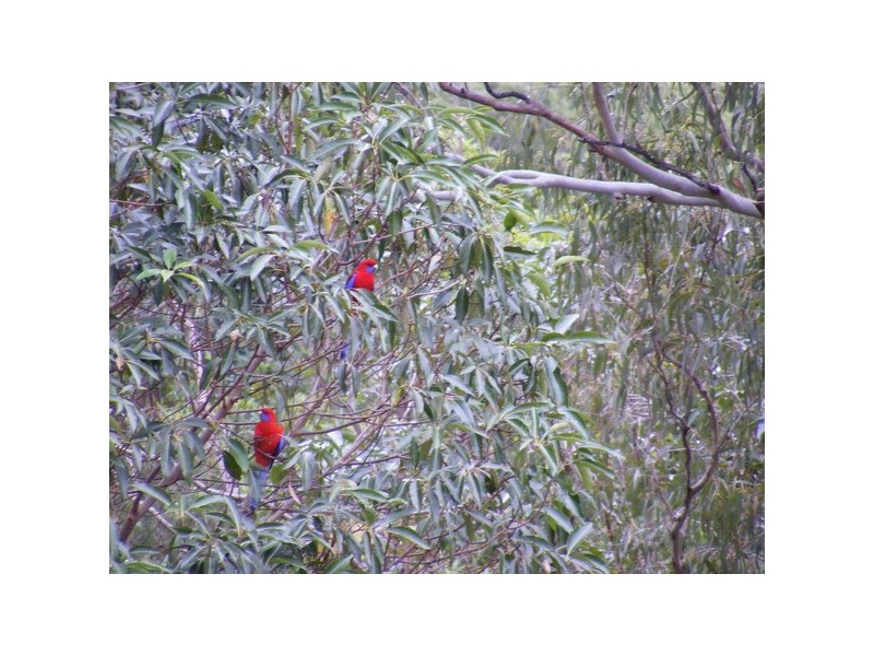 1007 Mount Glorious, Highvale QLD 4520