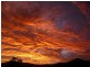 Lot 8 Morrison Road, Cedar Creek QLD 4520