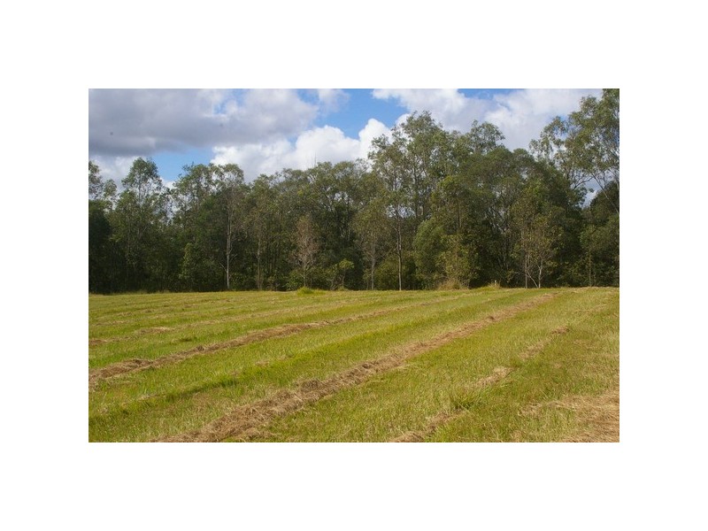 298 Wights Mountain Road, Wights Mountain QLD 4520