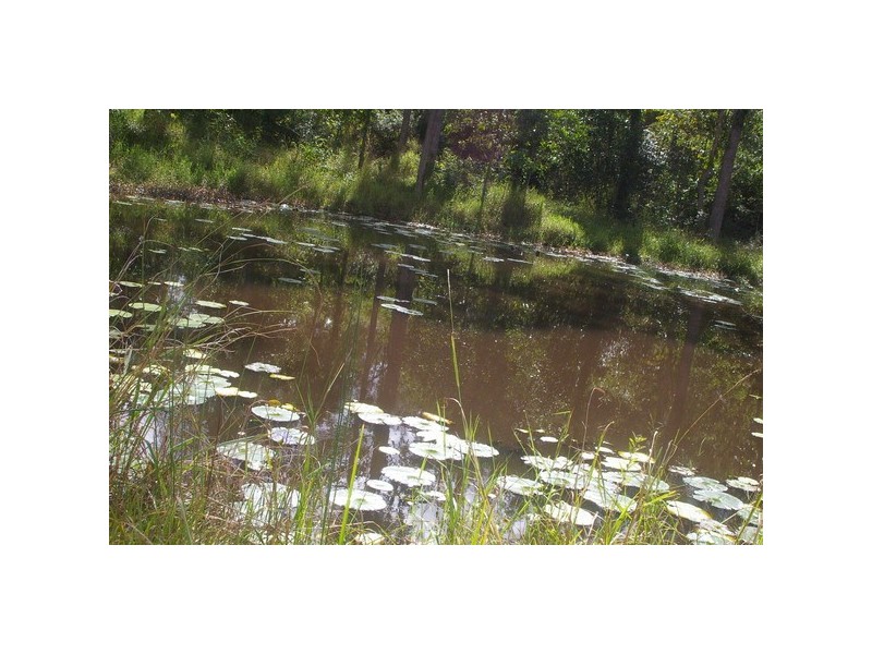 298 Wights Mountain Road, Wights Mountain QLD 4520