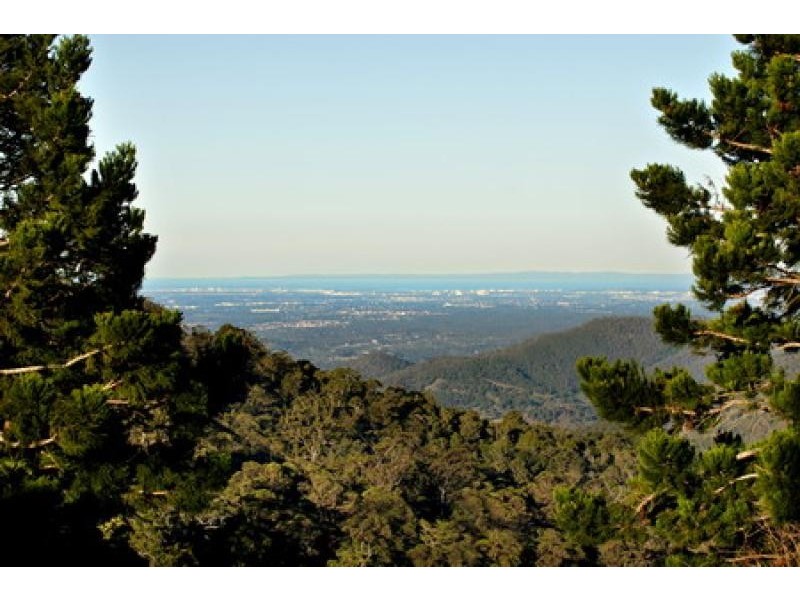 37 Fahey Road, Mount Glorious QLD 4520