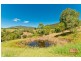 206 Herron Road, Cedar Creek QLD 4520